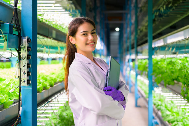 研究人员在温室农业中开发蔬菜品种图片下载