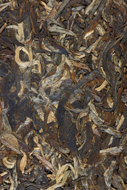 中国普洱茶特写，新鲜的茶，生的食物。图片下载