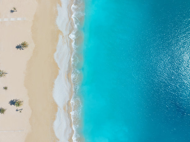 鸟瞰热带海滩绿松石清澈的水天堂棕榈树图片下载