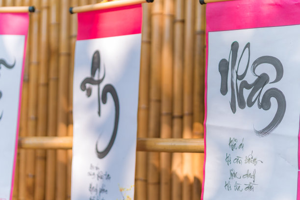 春节期间挂在树上的装饰烟花。传统的越南新年。照片中的文字意味着新年快乐，阖家平安。库存图片图片下载