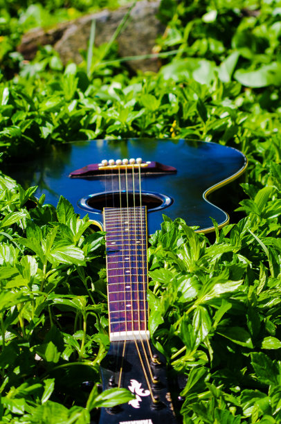 草地上的黑色吉他图片下载