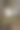 森林内的自然景观图片下载