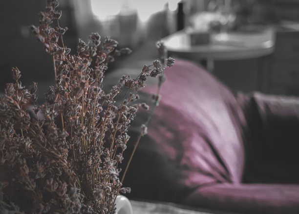 在室内晾干薰衣草图片下载