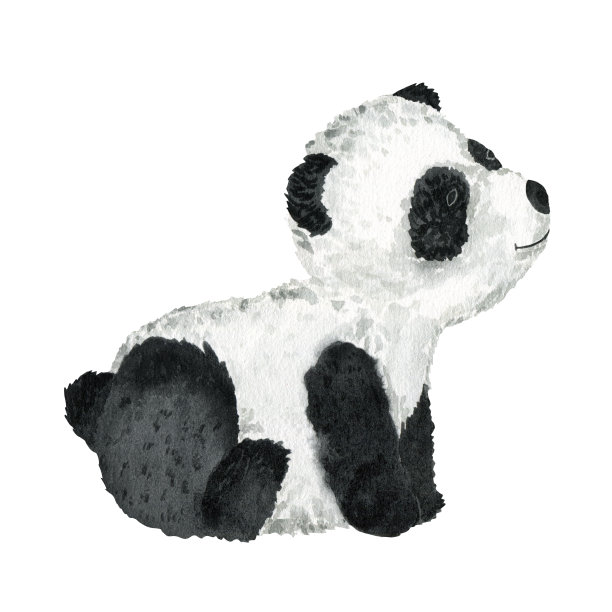 可爱的坐熊猫。孤立在白色背景上。水彩插图。野生动物。图片下载