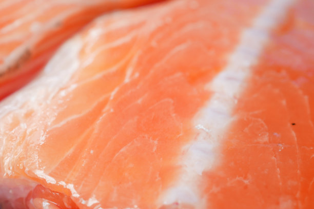 生的、新鲜的三文鱼排放在塑料包装袋上，放在桌上图片下载