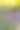 花园中薰衣草和牛至繁盛图片下载