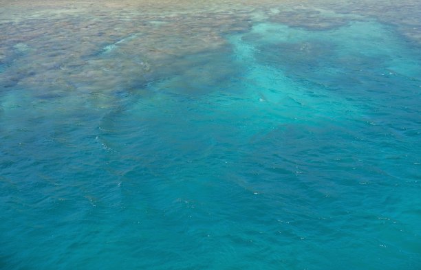 水下热带珊瑚礁的高角度视图图片下载