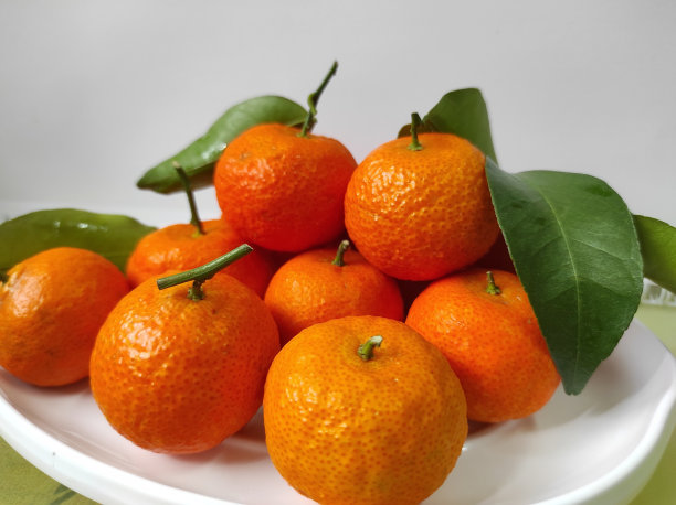 白盘子里有一堆桔子图片下载