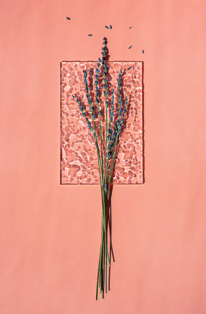 薰衣草创意构图。时髦的艺术模拟与干花。图片下载