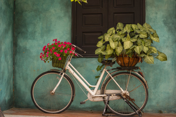 在越南岘港的一座老建筑旁，白色老式自行车和装满鲜花的篮子图片下载