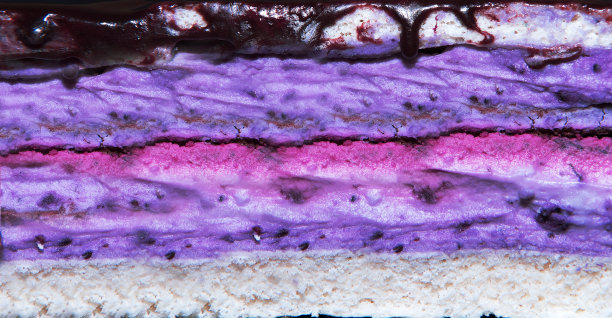 蓬松的蓝莓蛋糕和奶油加上薰衣草的口感。作者的配方。蓝色的阴影。侧视图。背景以淡紫色为主图片下载