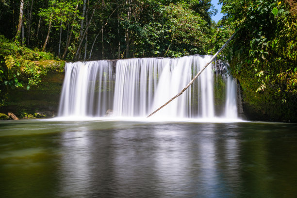 风景秀丽的瀑布，绿色的森林和纯净的自然，在南美洲图片下载