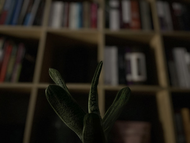 安静的晚上图片下载