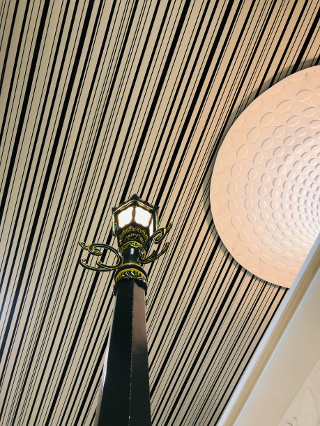 装饰灯和漂亮的屋顶图片下载