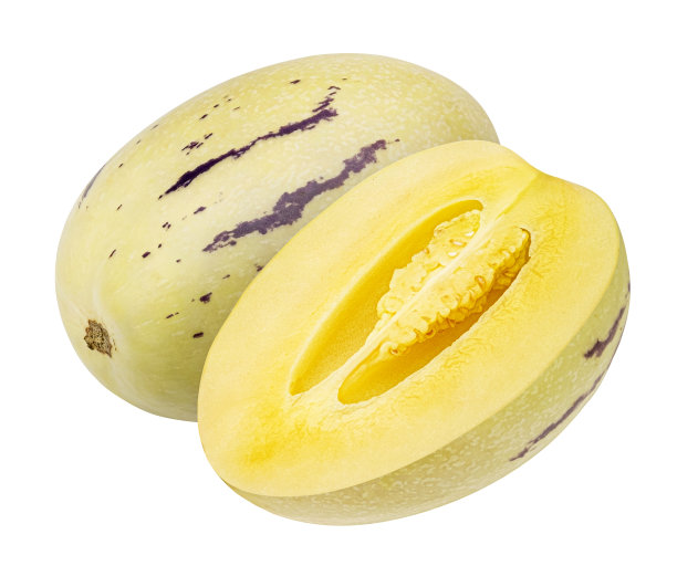 白底甜瓜果实分离图片下载