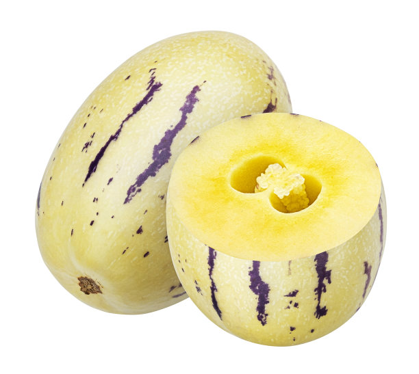 白底甜瓜果实分离图片下载