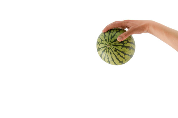 那只手拿着一个白色背景上的小西瓜。夏季水果和点心。最小的夏季食物概念。图片下载