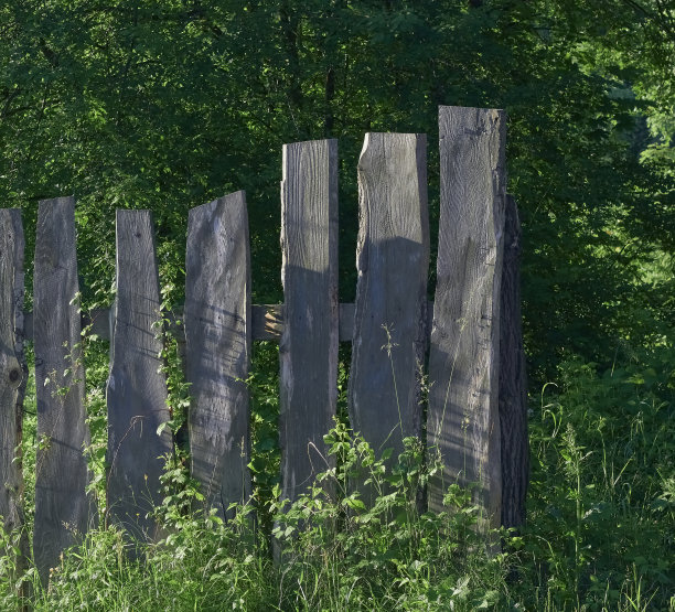 旧的灰色木栅栏和绿色植被，树木的背景。图片下载