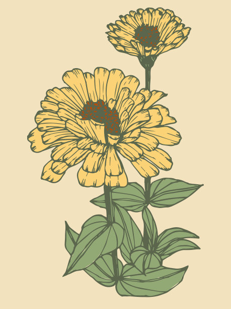 绚丽花卉树叶边框装饰花卉背景扁平矢量插画图片下载