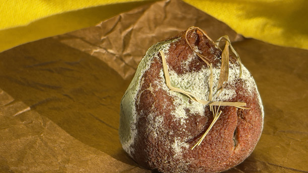 变质柑橘图片下载