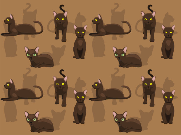 猫哈瓦那棕色可爱的卡通姿势无缝壁纸背景图片下载