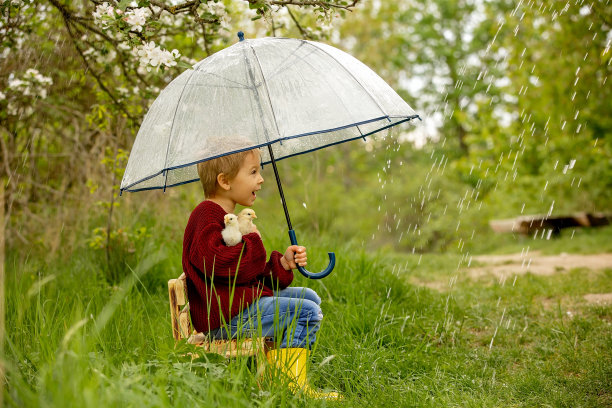 可爱的孩子，男孩，带着雨伞和小鸡，在下雨的时候坐在公园的小板凳上图片下载