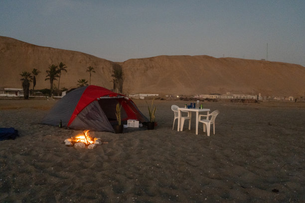 背景照片是一座白色的海滨别墅，有棕榈树和蓝天。图片下载