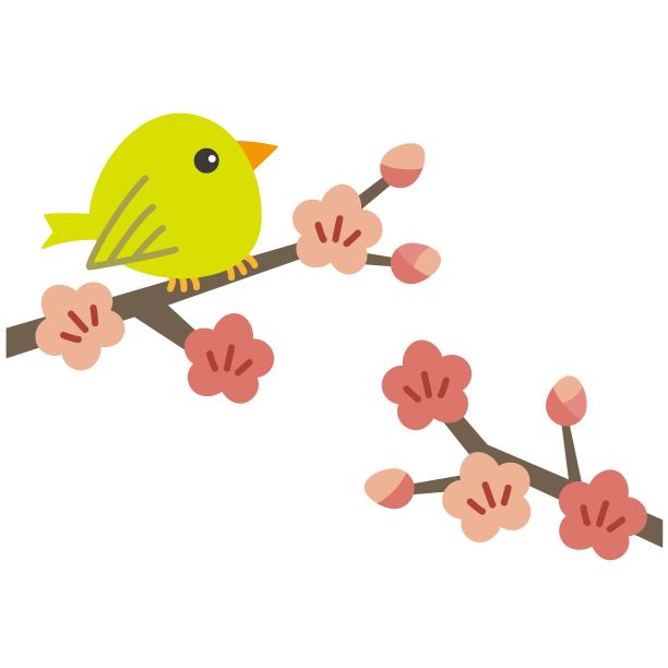 梅花和白眼莺的插图图片下载