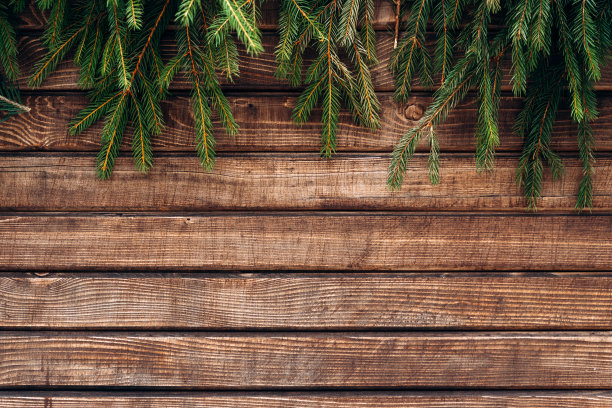 棕色木栅栏上的云杉树枝。冷杉早午餐在上面。冬天的概念。库存图片图片下载