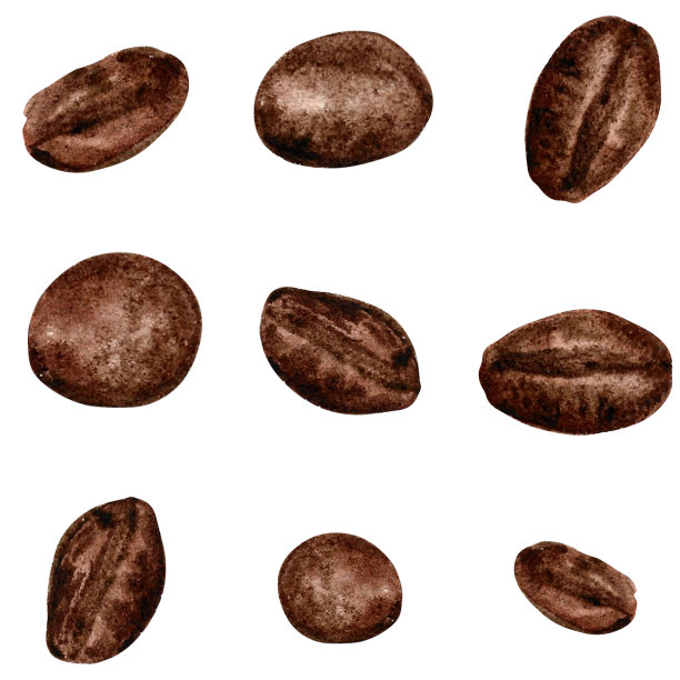 一套咖啡豆水彩手绘。图片下载