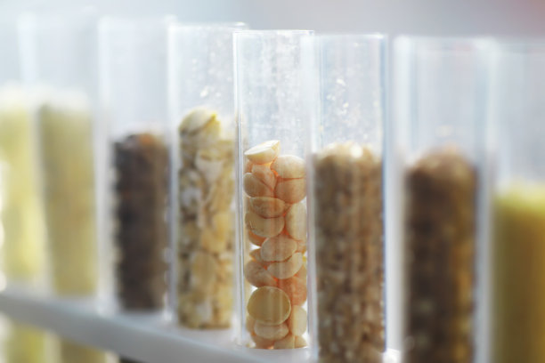 研究分析农业谷物和种子在实验室。试管里有精选植物的种子。图片下载