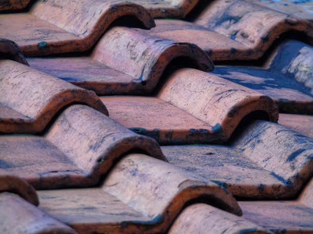 黏土瓦片屋顶的照片图片下载