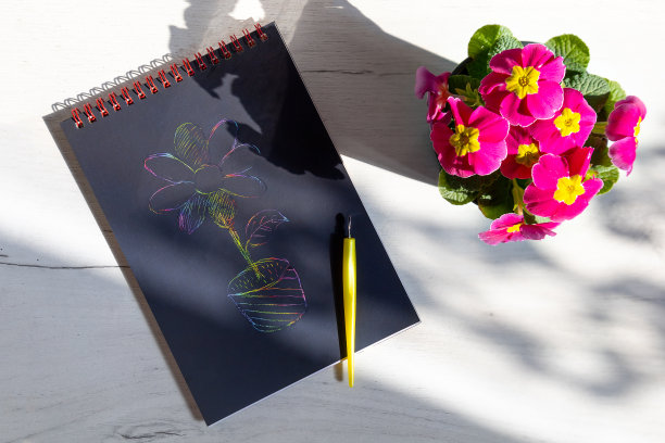 画上画有花的纸和花盆。图片下载