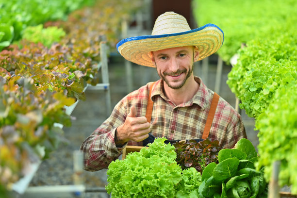 微笑的男子农民的肖像，抱着一个木箱装满新鲜的有机蔬菜站在水培温室种植园。图片下载