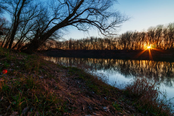 美丽的秋色在森林里，明媚的阳光变成了日落，阳光照在树叶上，河岸和流动的水图片下载