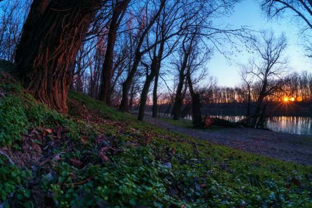 美丽的秋色在森林里，明媚的阳光变成了日落，阳光照在树叶上，河岸和流动的水图片下载
