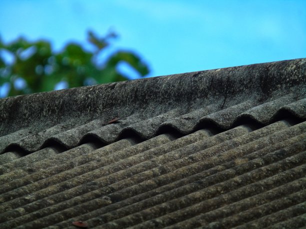 瓦片屋顶的照片图片下载