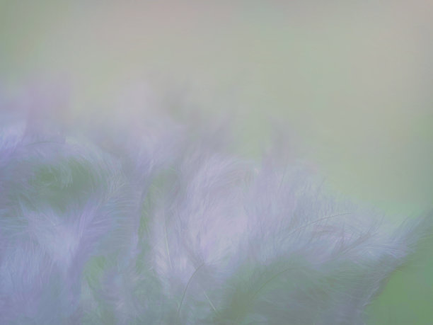 模糊抽象纹理背景图片下载