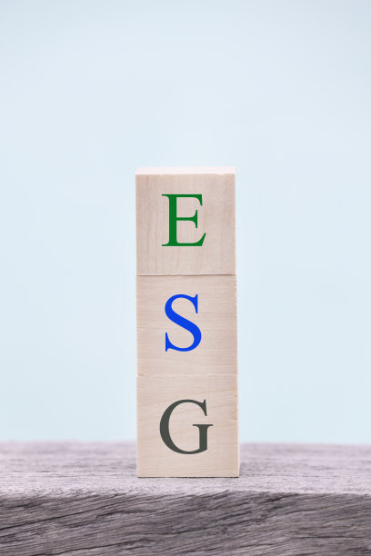 在蓝色背景上的木制立方体上的ESG单词。副本的空间。环境社会治理，可持续经营，责任理念。有选择性的重点图片下载