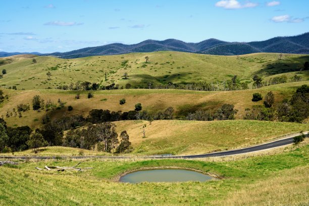 阿尔卑斯黄，绿烟和马里布蓝景观，雪山，新南威尔士图片下载