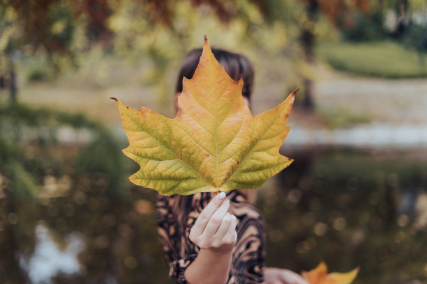 一个站在公园里，拿着一片树叶挡在面前的女人图片下载