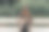 年轻女子坐在长凳上，穿着裙子，看着她的包/钱包图片下载