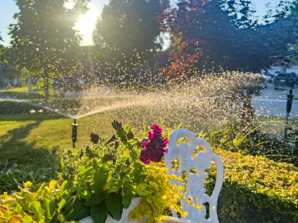 阳光明媚的日子，绿色的草地被自动洒水系统浇灌图片下载