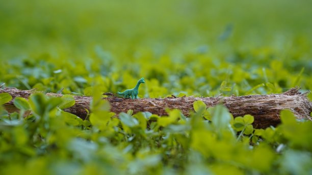 一个绿色的恐龙玩具站在树干上，背景是绿色的草地图片下载