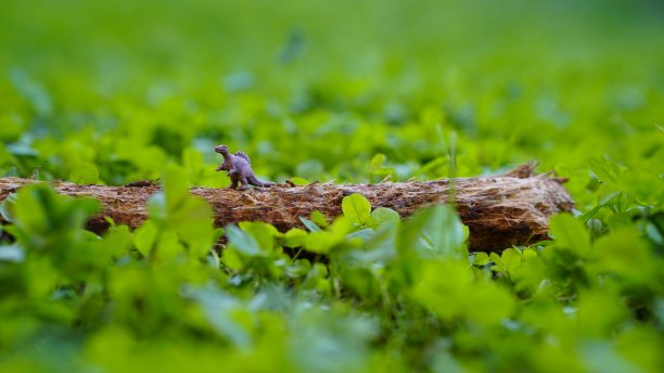玩具恐龙雷克斯站在树干上，背景是绿色的草地图片下载