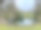 布鲁日阿斯特丽德女王公园公园图片下载