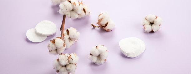 紫罗兰色背景上的棉花花的平面构图。文本空格。图片下载