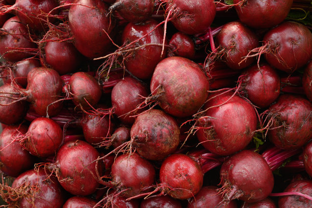 新鲜有机甜菜，甜菜根为背景。当地的蔬菜。图片下载