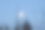 一张照片与一个满月的夜空与冷杉树枝的剪影图片下载