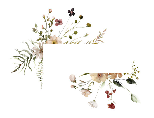 水彩盛夏邀请框与手绘精致的叶子，粉红色的花朵。浪漫的花圈完美的婚礼贺卡，邀请。图片下载